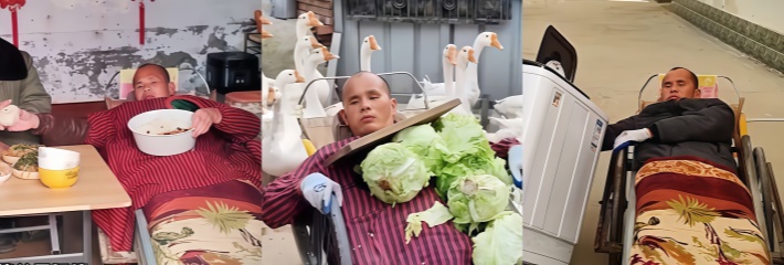 黑料正能量 西志强 十四岁患强直性脊椎炎 以板车为腿养鹅自立更生十六年